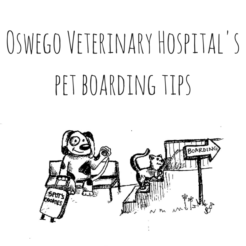boarding tips for pets