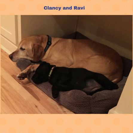 clancy-and-ravi